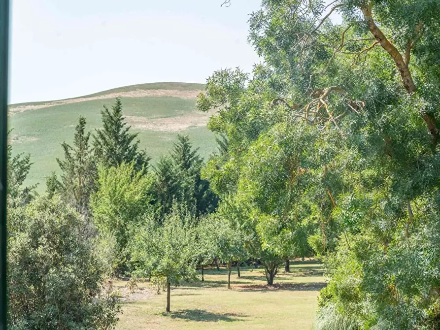 Immagine 46 di Casa colonica in vendita  a Asciano