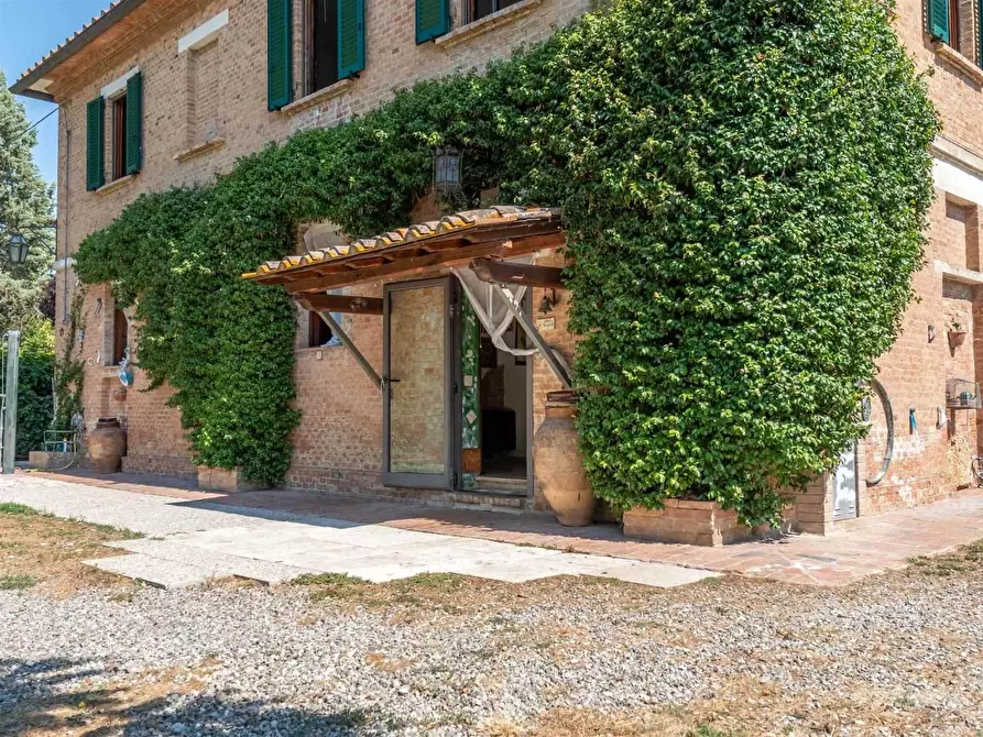 Immagine 12 di Casa colonica in vendita  a Asciano