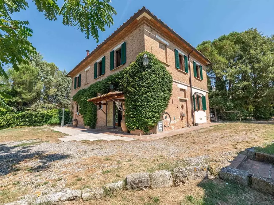 Immagine 11 di Casa colonica in vendita  a Asciano
