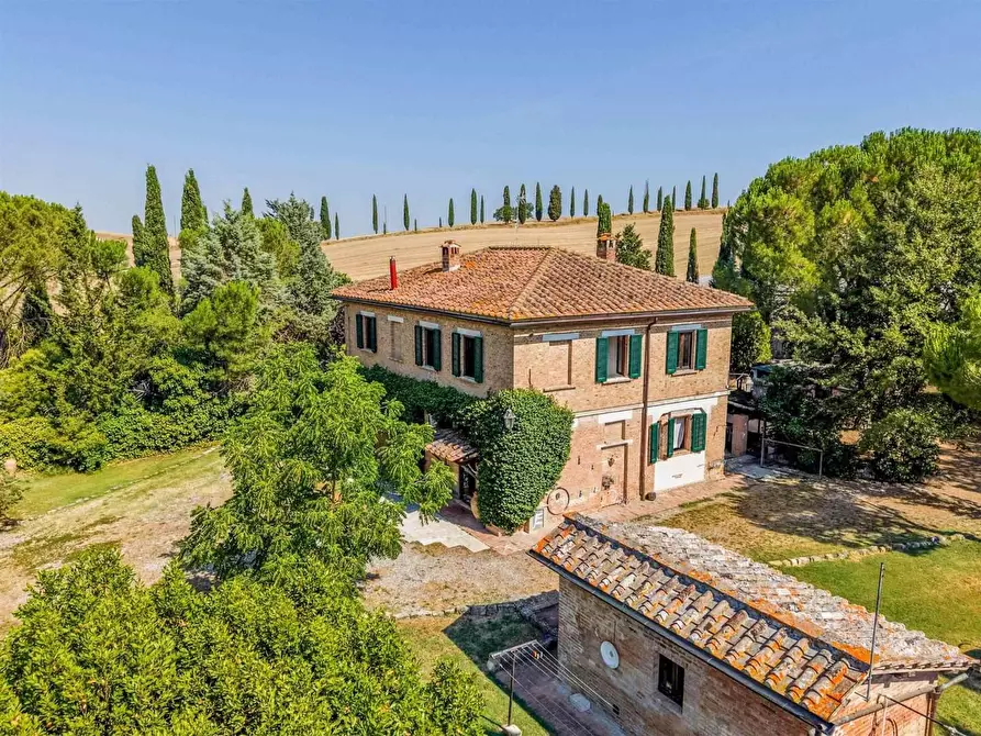 Immagine 8 di Casa colonica in vendita  a Asciano