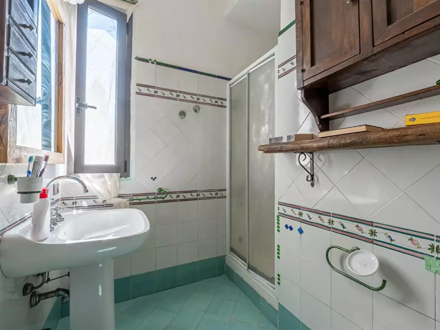 Immagine 30 di Casa colonica in vendita  a Asciano