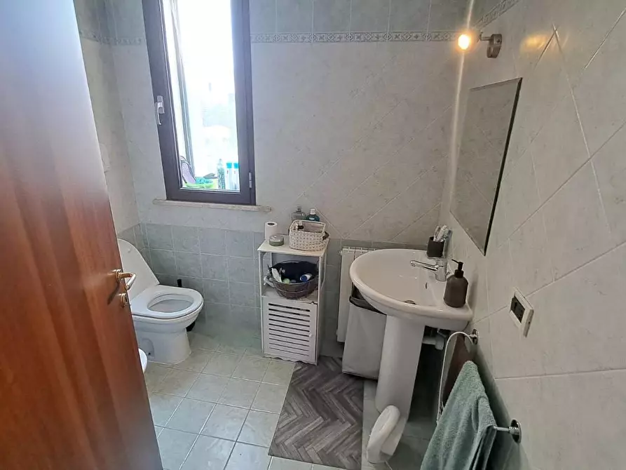Immagine 14 di Appartamento in vendita  a Rosignano Marittimo
