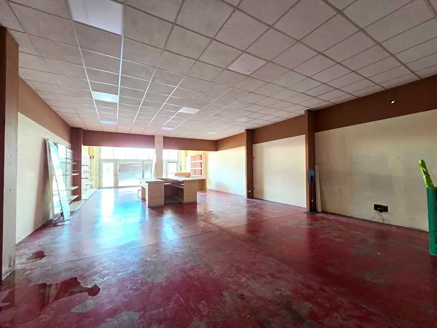 Immagine 7 di Capannone industriale in vendita  a Altopascio