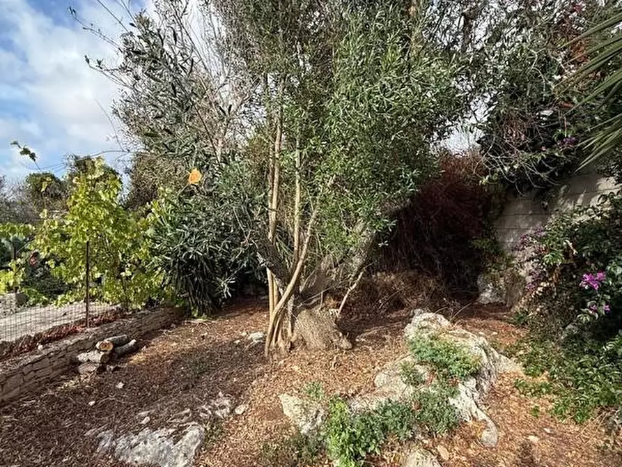 Immagine 17 di Casa indipendente in vendita  a Corsano