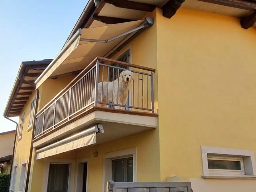 Immagine 2 di Casa bifamiliare in vendita  a Massa