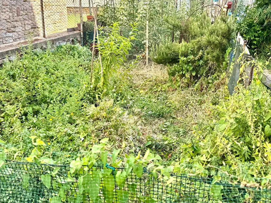Immagine 49 di Appartamento in vendita  a Empoli