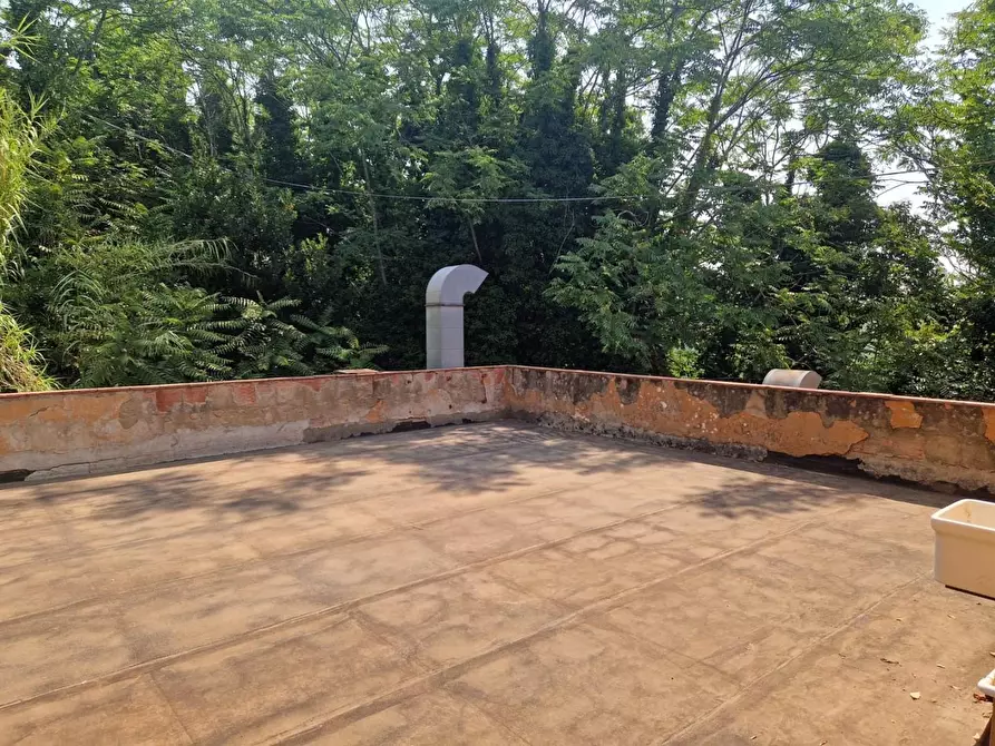 Immagine 5 di Appartamento in vendita  a Casciana Terme Lari