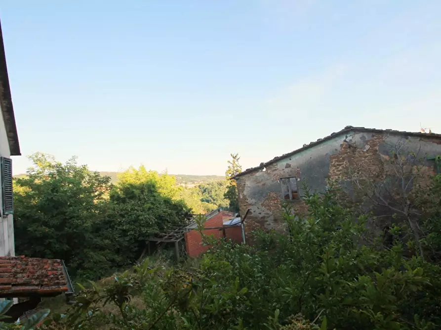 Immagine 16 di Casa colonica in vendita  a Lamporecchio