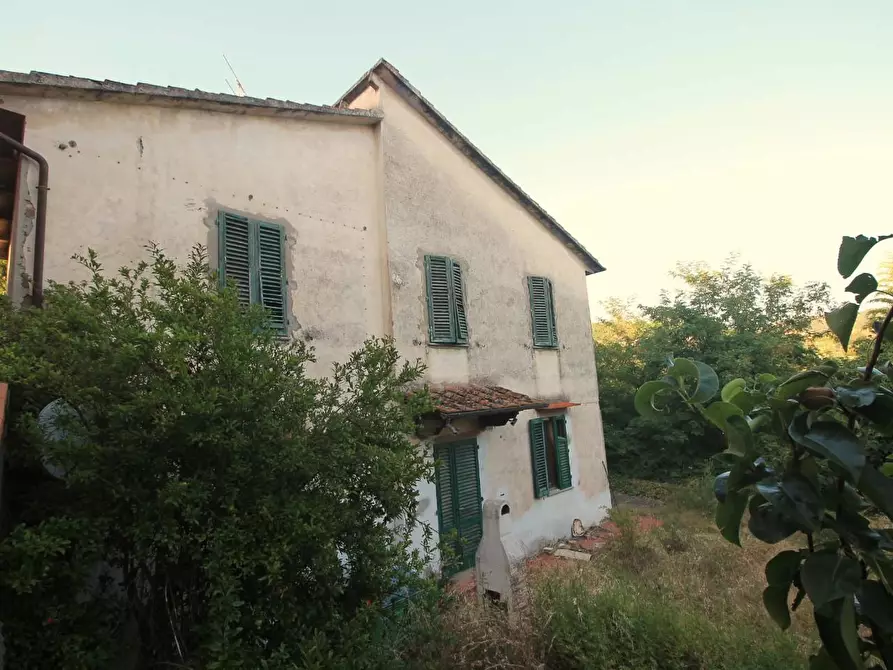 Immagine 3 di Casa colonica in vendita  a Lamporecchio