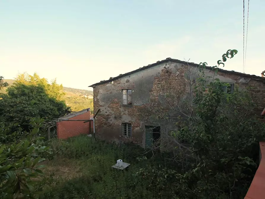 Immagine 14 di Casa colonica in vendita  a Lamporecchio