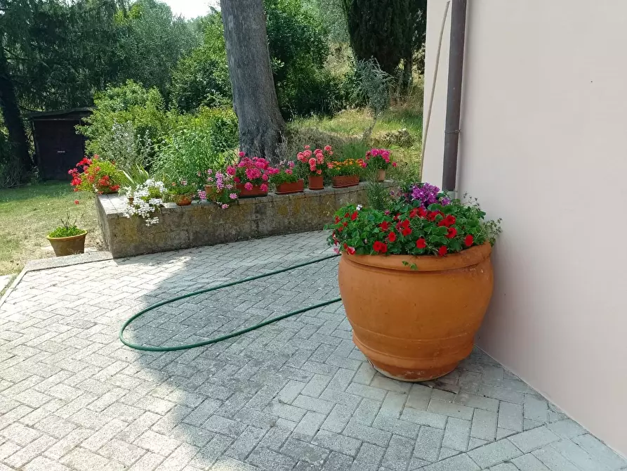 Immagine 3 di Casa colonica in vendita  a Larciano