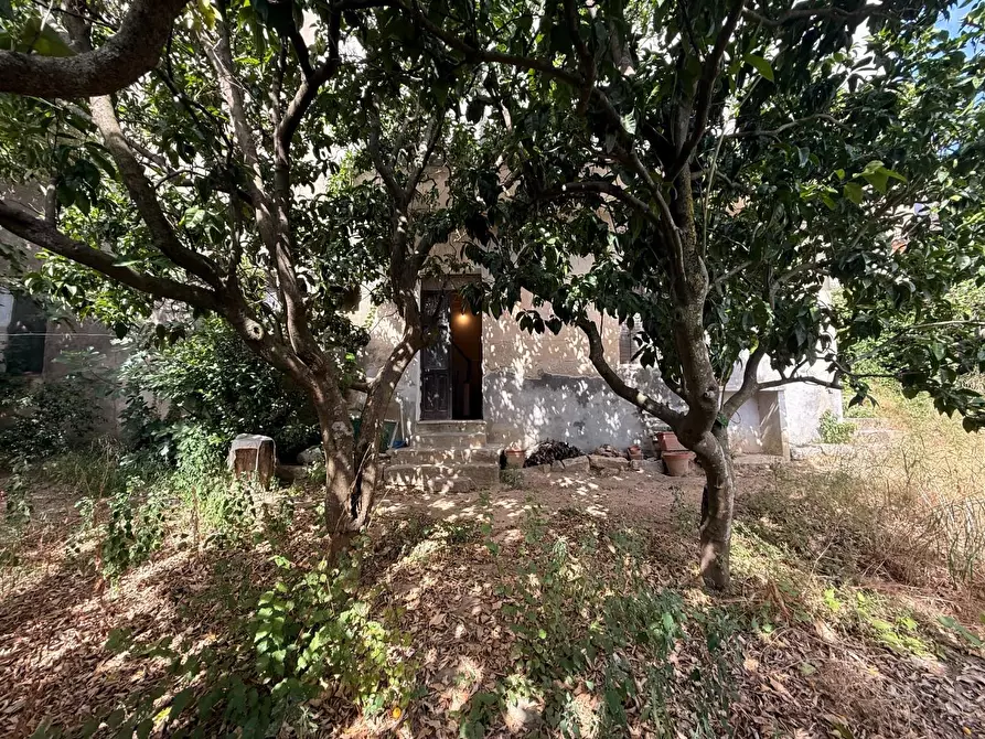 Immagine 43 di Casa indipendente in vendita  a Luogosanto