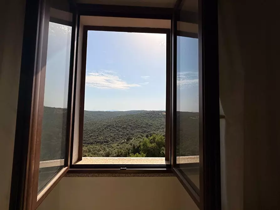 Immagine 20 di Casa indipendente in vendita  a Luogosanto