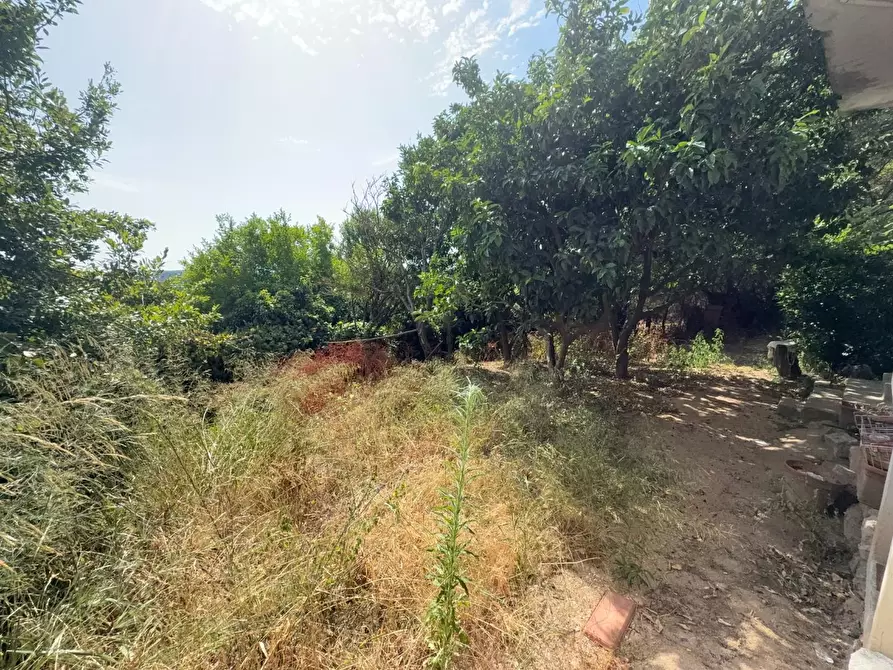 Immagine 45 di Casa indipendente in vendita  a Luogosanto
