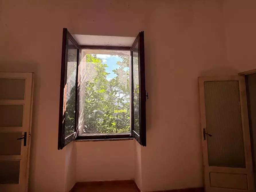 Immagine 39 di Casa indipendente in vendita  a Luogosanto