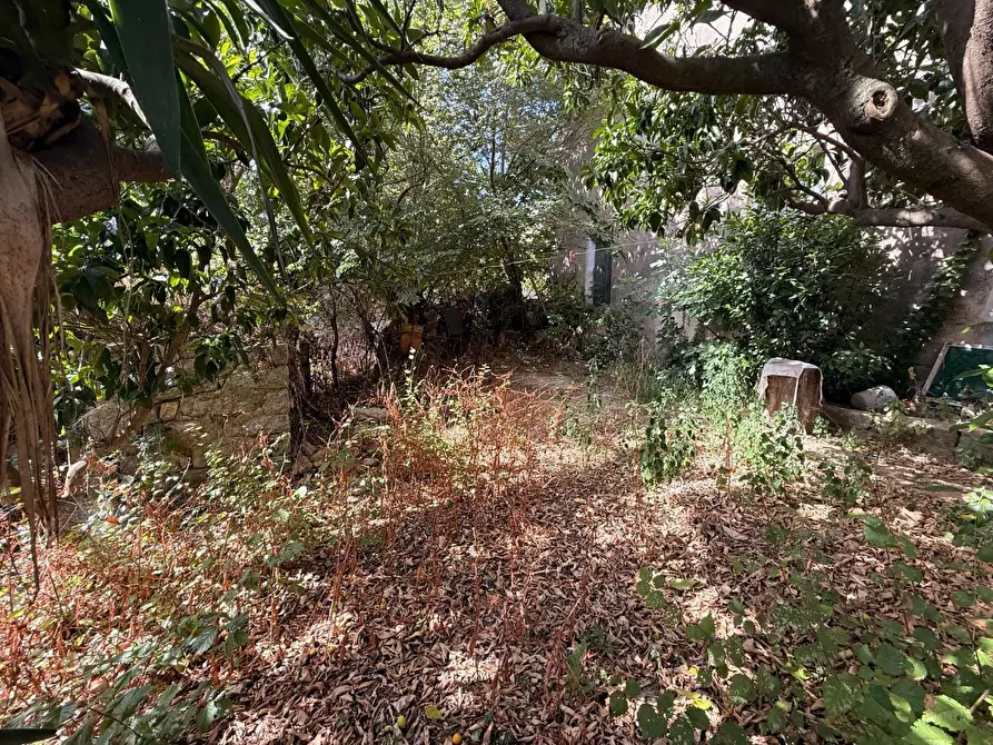Immagine 41 di Casa indipendente in vendita  a Luogosanto