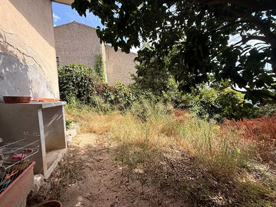Immagine 46 di Casa indipendente in vendita  a Luogosanto