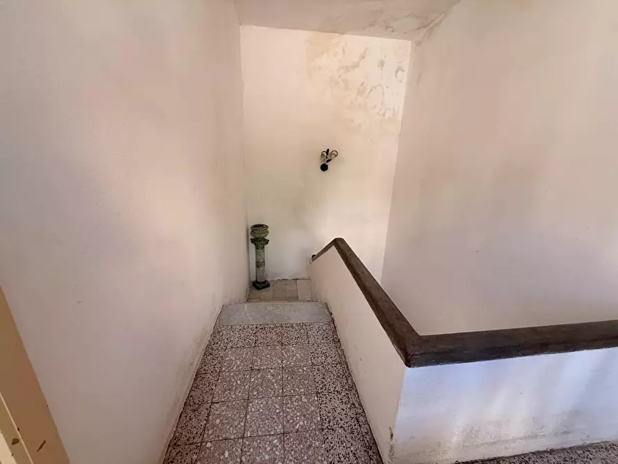 Immagine 15 di Casa indipendente in vendita  a Luogosanto