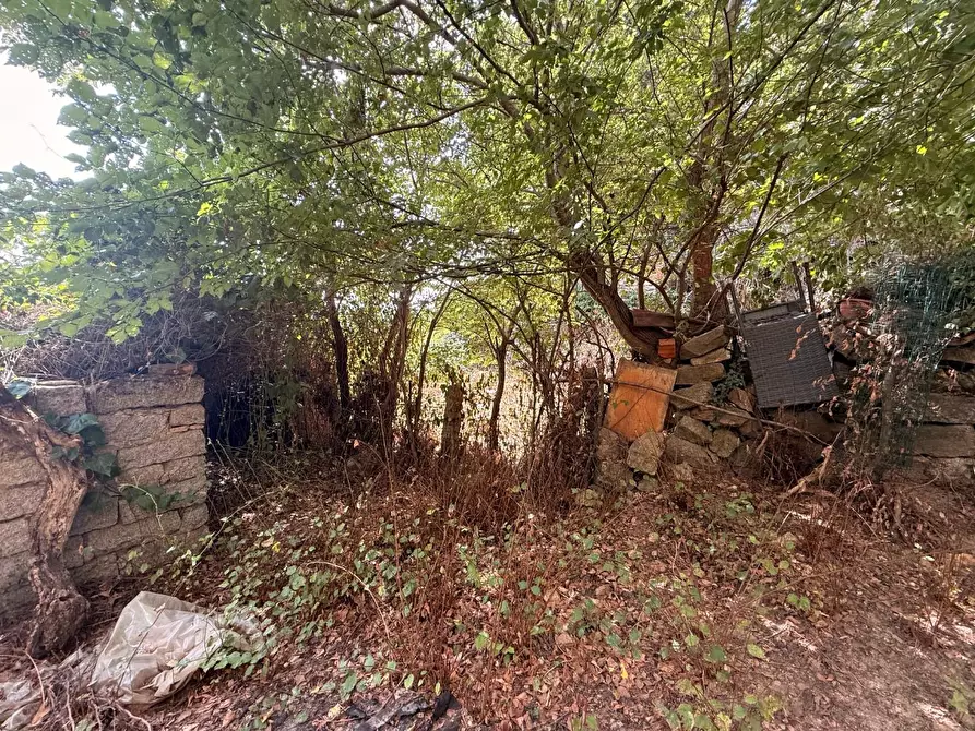Immagine 42 di Casa indipendente in vendita  a Luogosanto