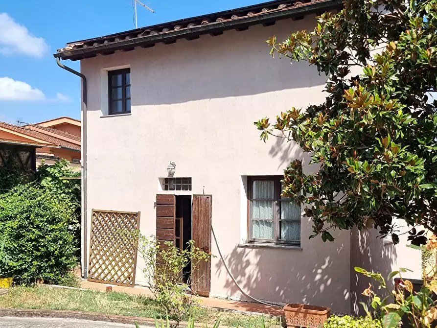 Immagine 3 di Terratetto in vendita  a Capannoli