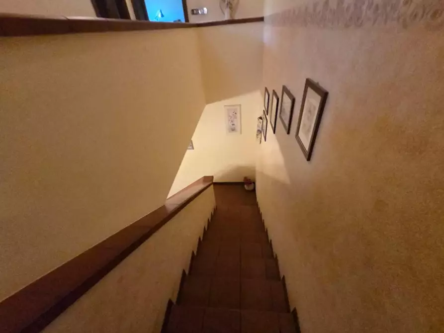Immagine 8 di Terratetto in affitto  a Capannori