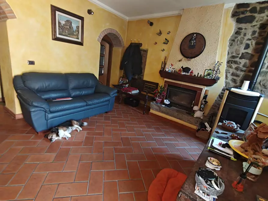Immagine 6 di Appartamento in vendita  a Fosdinovo
