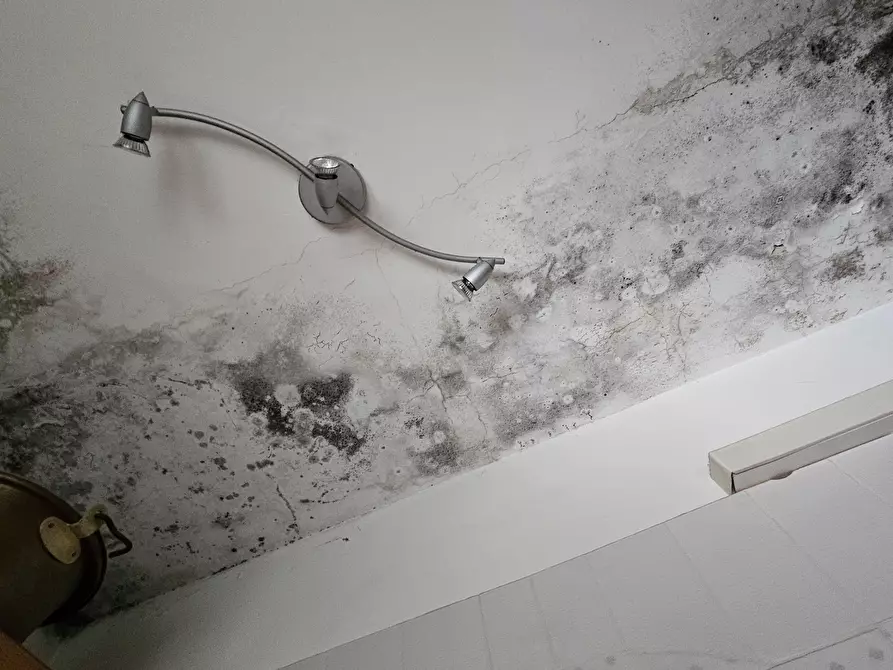 Immagine 11 di Appartamento in vendita  a Piossasco
