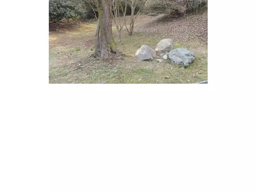 Immagine 35 di Villa in vendita  a Torino