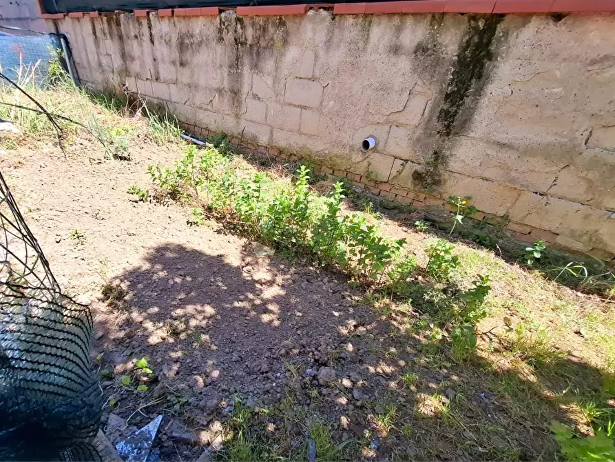 Immagine 15 di Appartamento in vendita  a Castelfranco Di Sotto
