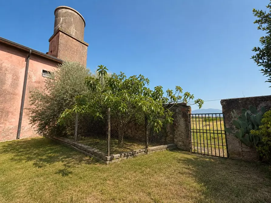 Immagine 11 di Terratetto in vendita  a Casciana Terme Lari