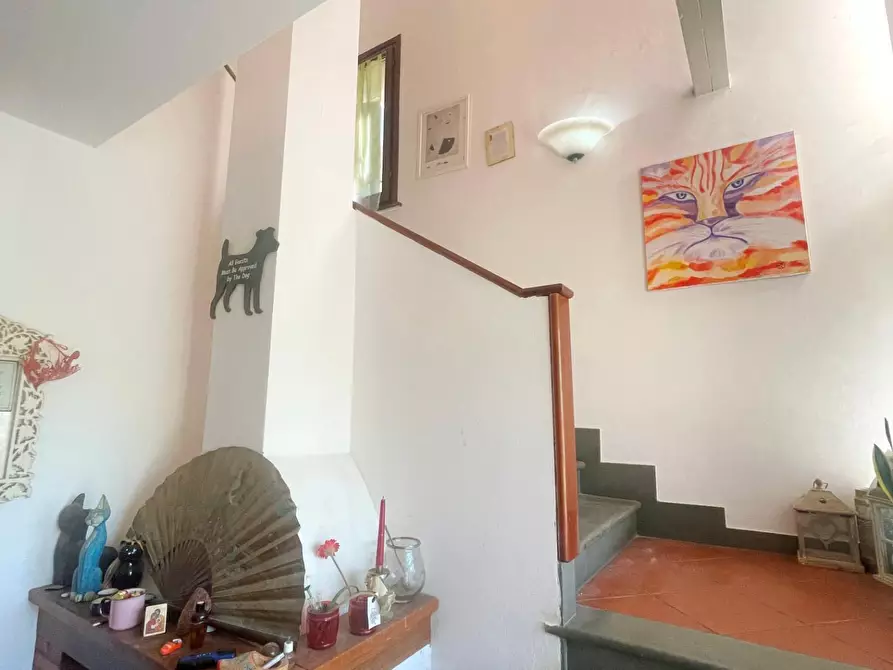 Immagine 49 di Casa bifamiliare in vendita  a Vicopisano