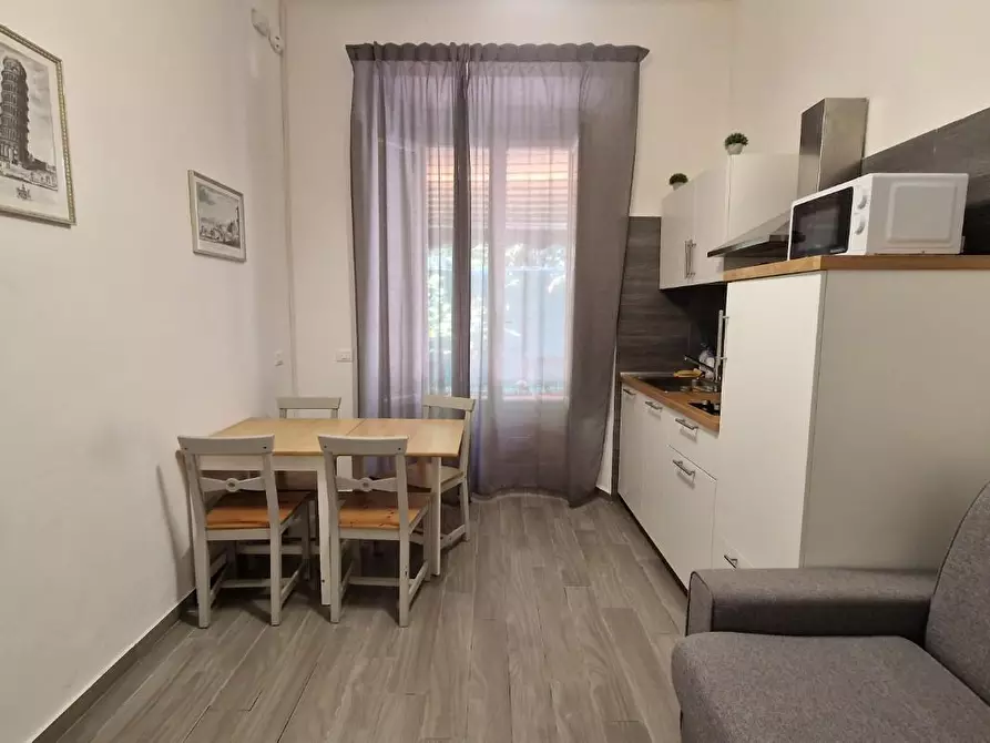 Immagine 32 di Appartamento in affitto  a Pisa