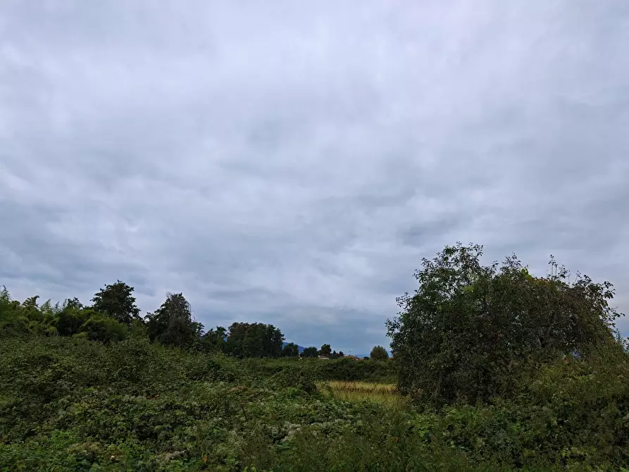 Immagine 13 di Terreno agricolo in vendita  a Carrara