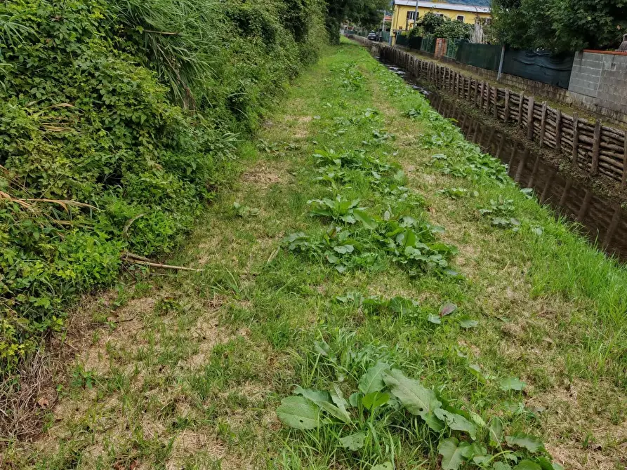 Immagine 17 di Terreno agricolo in vendita  a Carrara