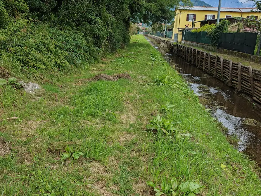 Immagine 14 di Terreno agricolo in vendita  a Carrara