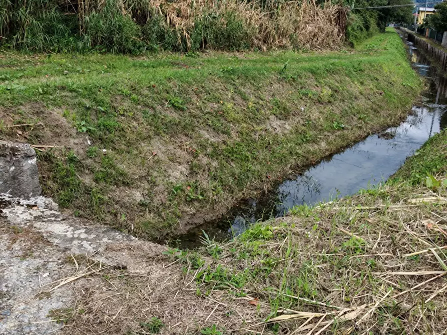 Immagine 19 di Terreno agricolo in vendita  a Carrara
