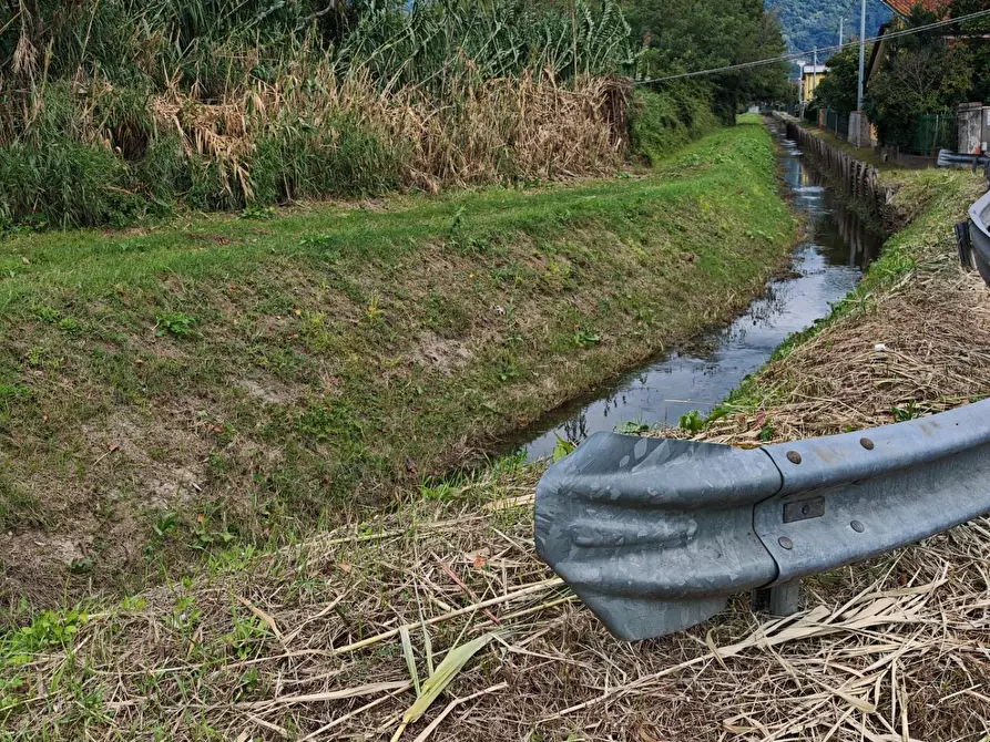 Immagine 20 di Terreno agricolo in vendita  a Carrara