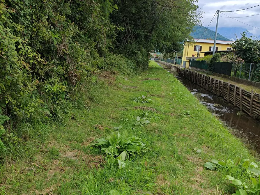 Immagine 16 di Terreno agricolo in vendita  a Carrara