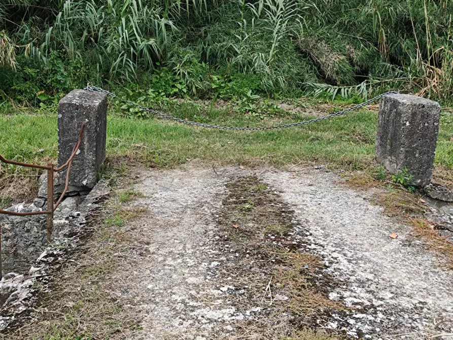 Immagine 18 di Terreno agricolo in vendita  a Carrara