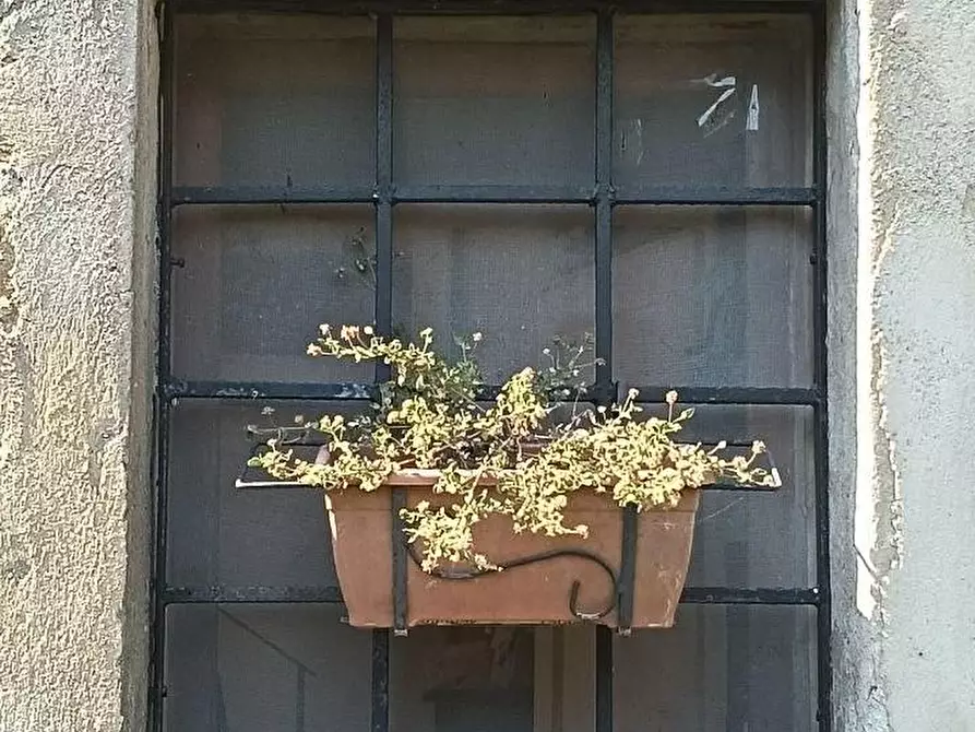 Immagine 27 di Casa colonica in vendita  a Certaldo