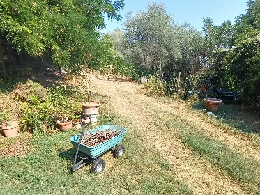 Immagine 29 di Casa colonica in vendita  a Certaldo