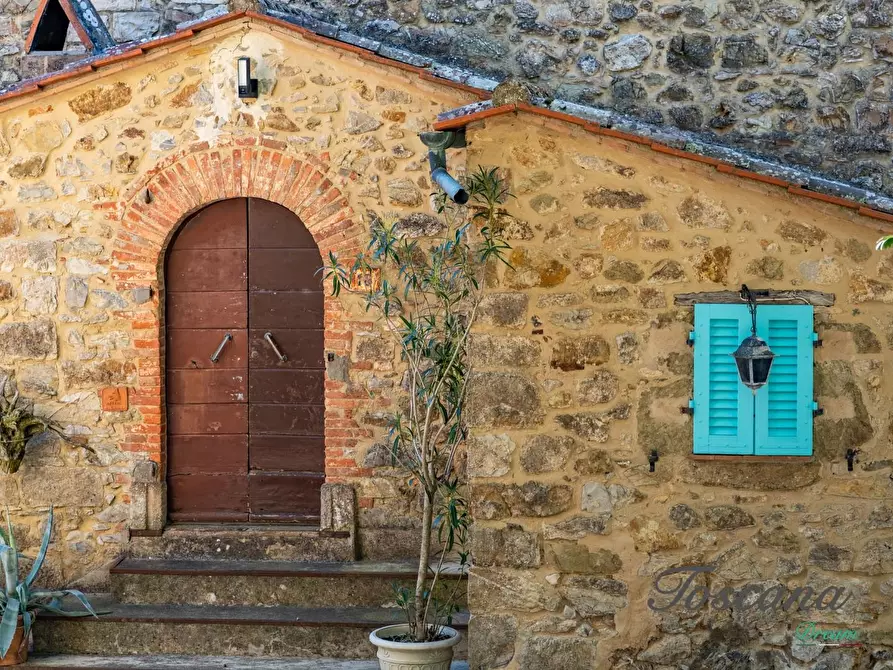Immagine 9 di Casa colonica in vendita  a Montieri