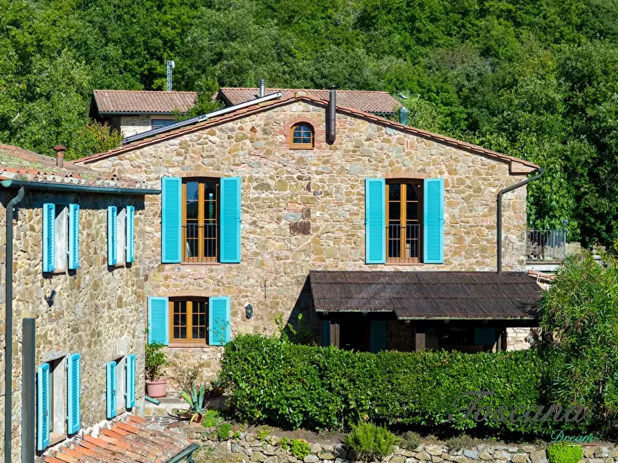 Immagine 6 di Casa colonica in vendita  a Montieri