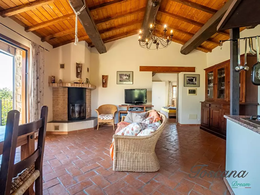 Immagine 82 di Casa colonica in vendita  a Montieri