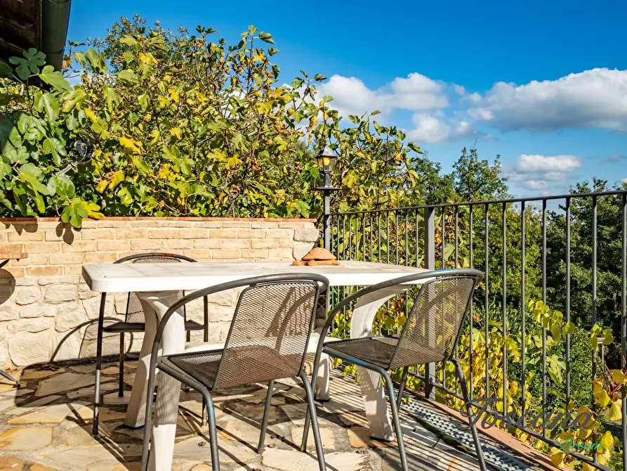 Immagine 93 di Casa colonica in vendita  a Montieri