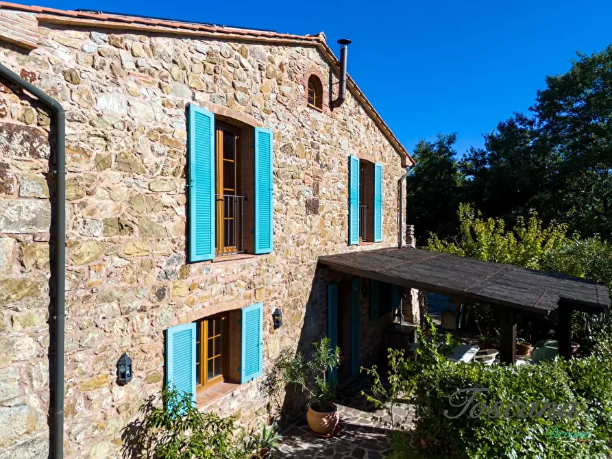 Immagine 42 di Casa colonica in vendita  a Montieri