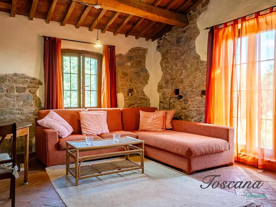 Immagine 64 di Casa colonica in vendita  a Montieri