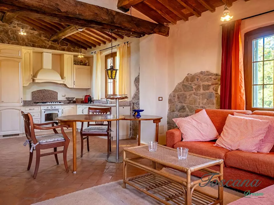 Immagine 63 di Casa colonica in vendita  a Montieri