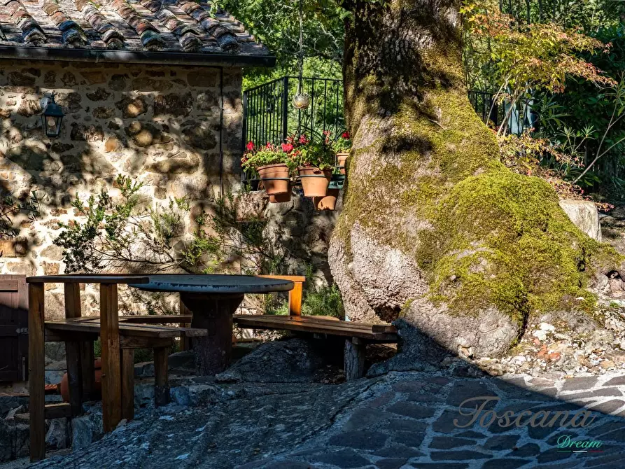 Immagine 16 di Casa colonica in vendita  a Montieri