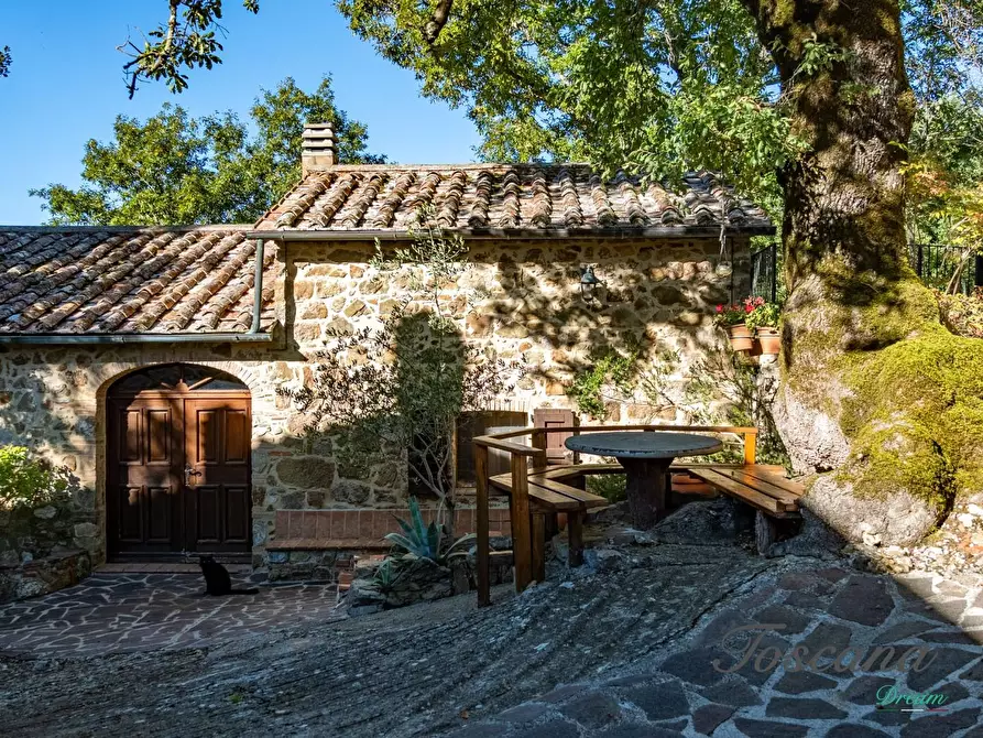 Immagine 18 di Casa colonica in vendita  a Montieri